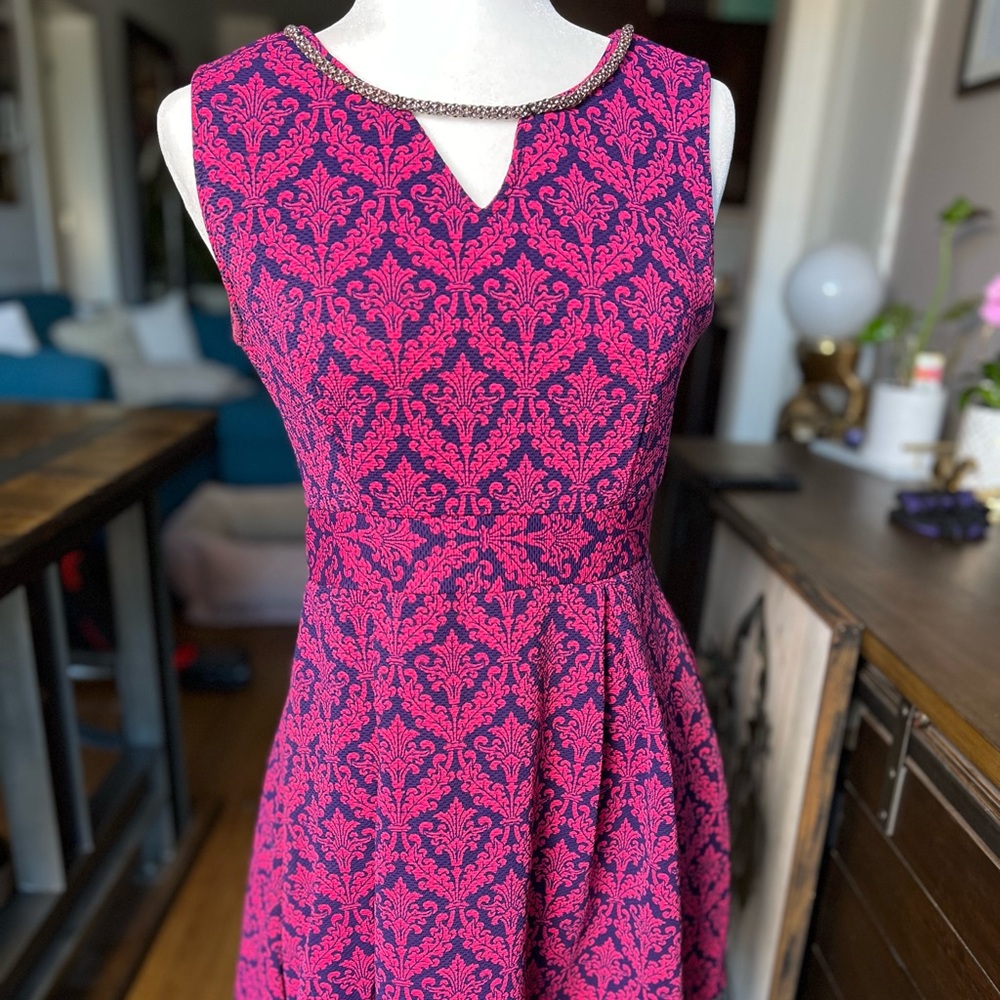 Wish Pink and Navy Blue Mini Dress